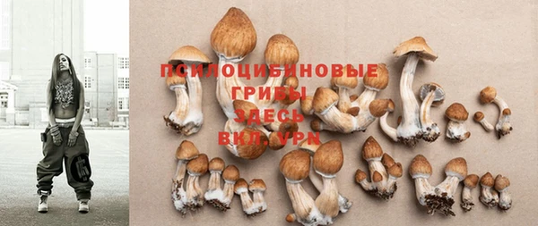 MESCALINE Вяземский