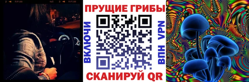 сайты даркнета как зайти  где можно купить наркотик  Первомайск  Галлюциногенные грибы Psilocybe 